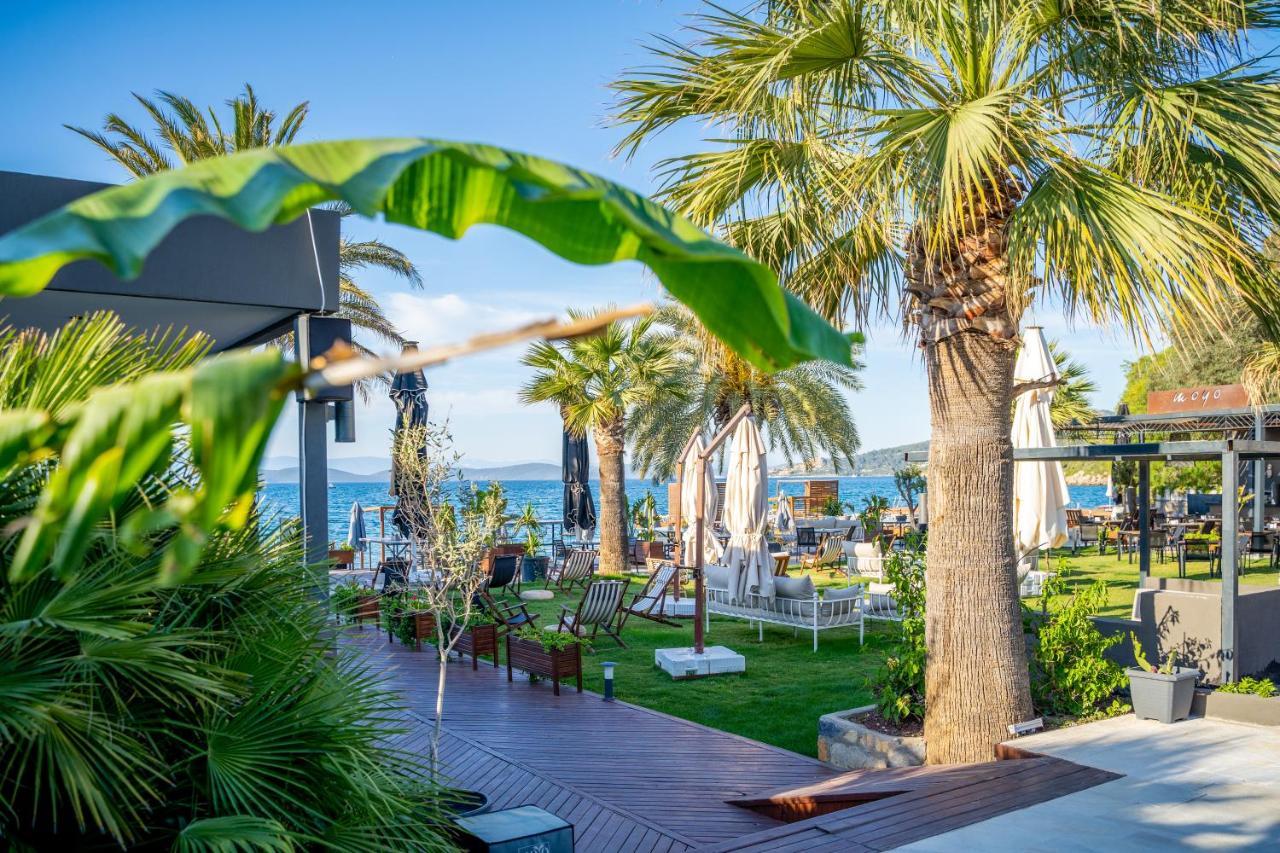 Moyo Luxury Hotel & Beach Αλικαρνασσός Εξωτερικό φωτογραφία